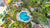 1228 Hillsboro Mile #204, Hillsboro Beach, FL 33062