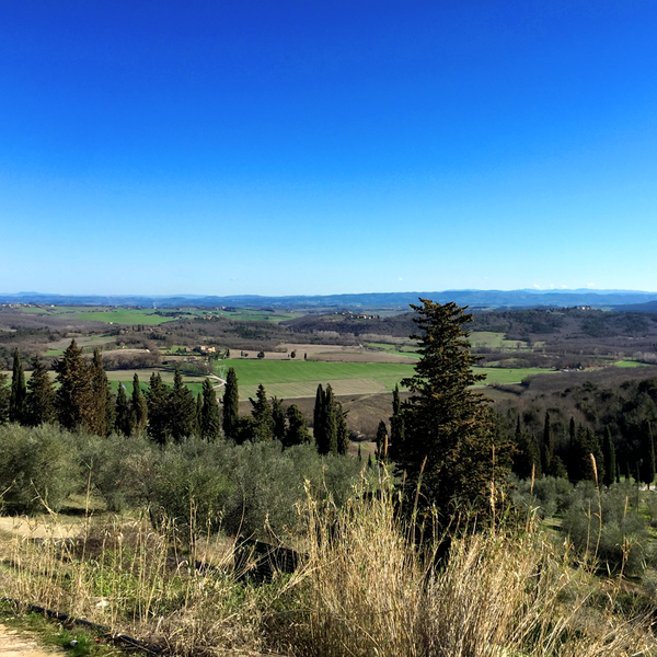 Il Borghetto Andrea Tafi