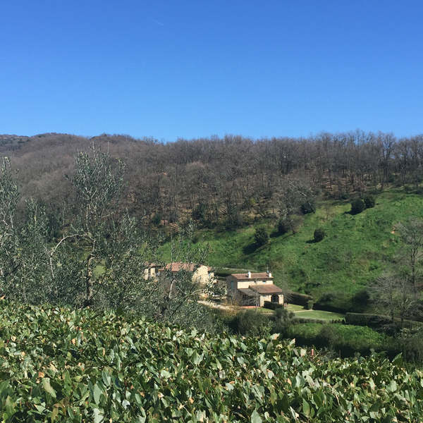 Il Borghetto Andrea Tafi